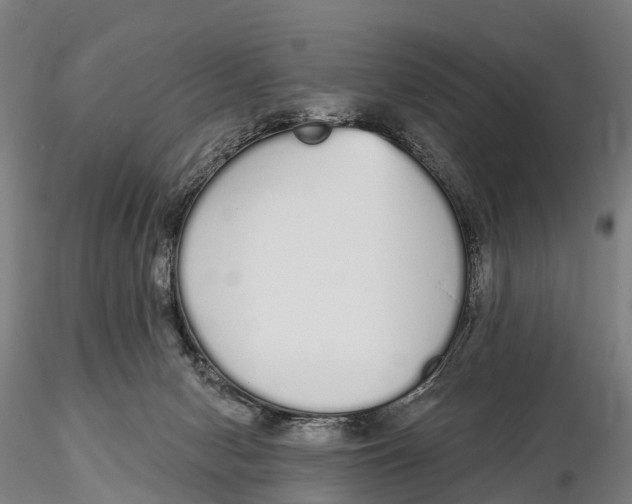 X0000115710078200912031537