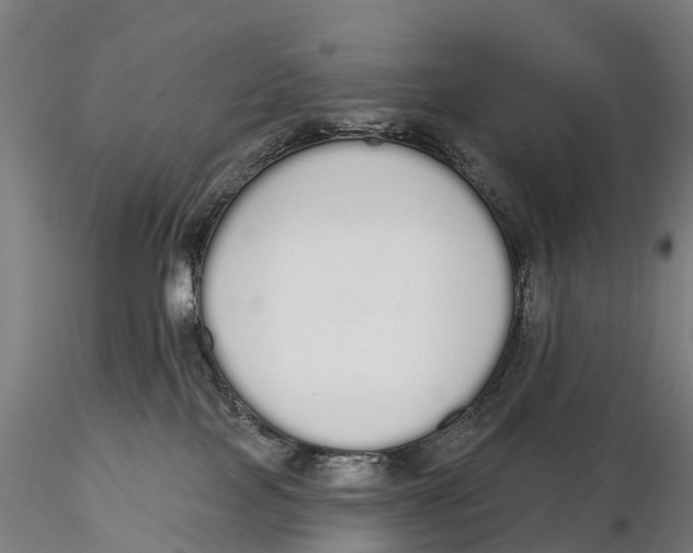 X0000115710089200912031538