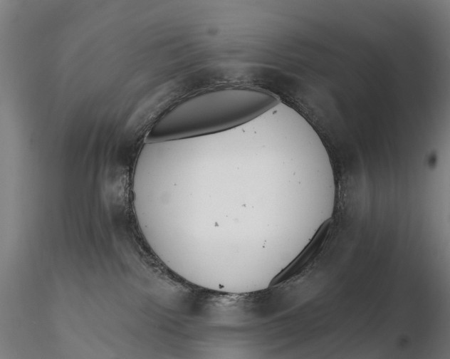 X0000115710092200912031538