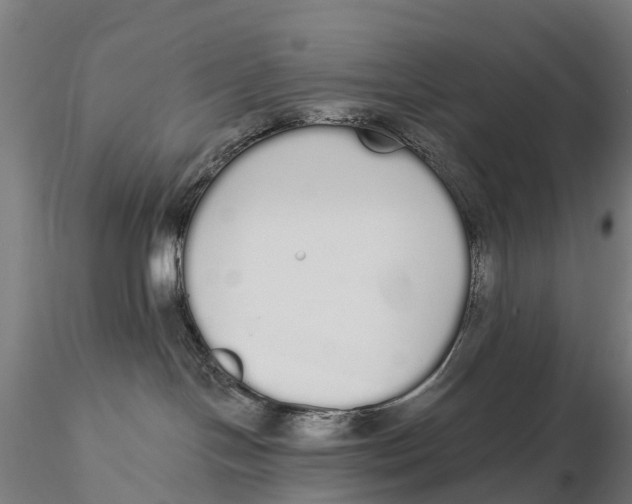 X0000115710094200912031538