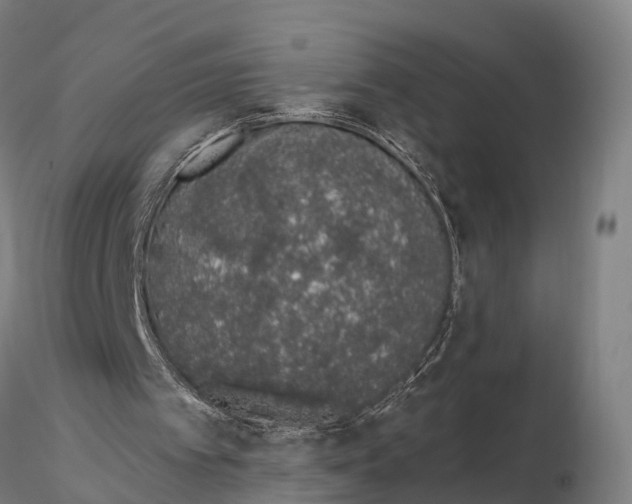 X0000115710097200912031537