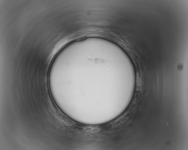 X0000115710099200912031537