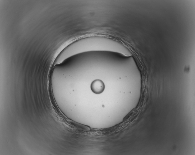 X0000115710100200912031537