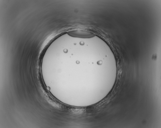 X0000115710102200912031537