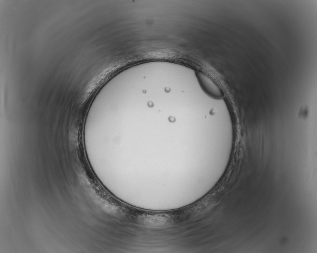 X0000115710106200912031537