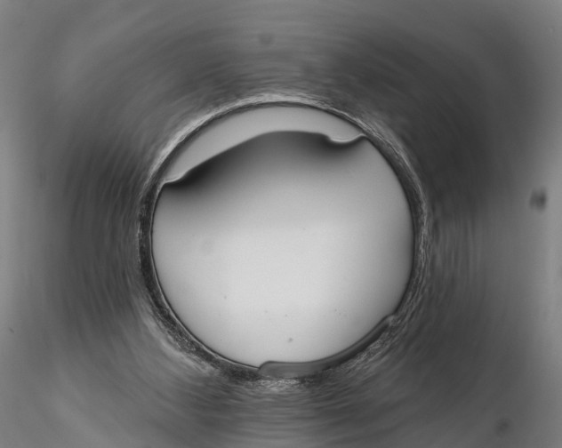 X0000115710108200912031537