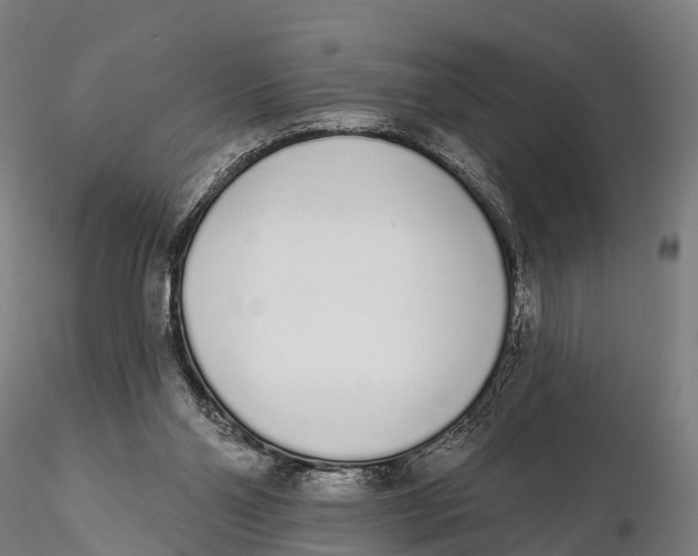 X0000115710110200912031537