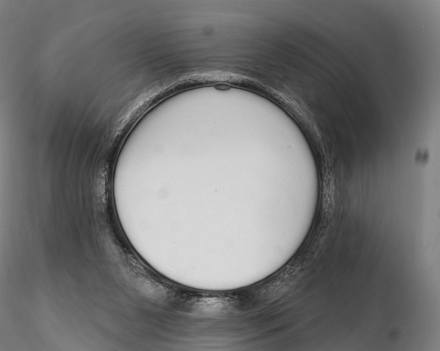 X0000115710111200912031537