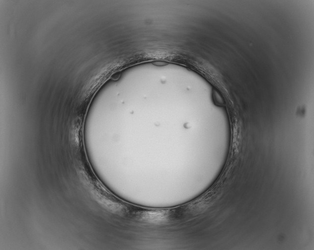 X0000115710114200912031537