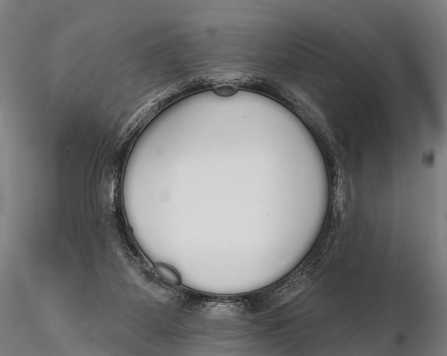 X0000115710115200912031537