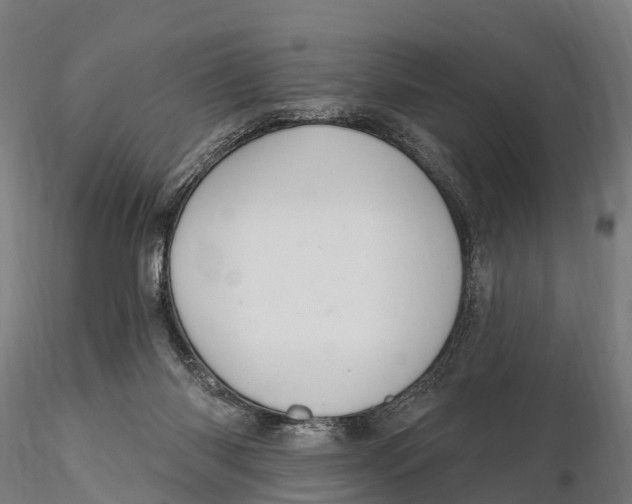 X0000115710118200912031537