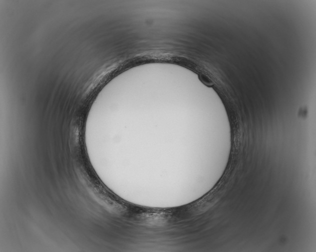 X0000115710120200912031537