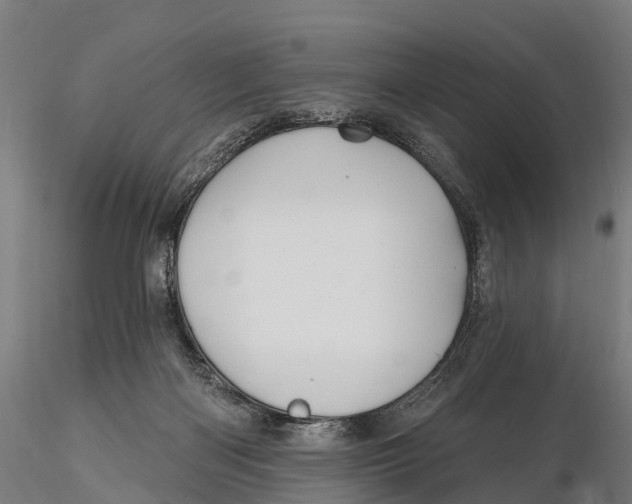 X0000115710122200912031537