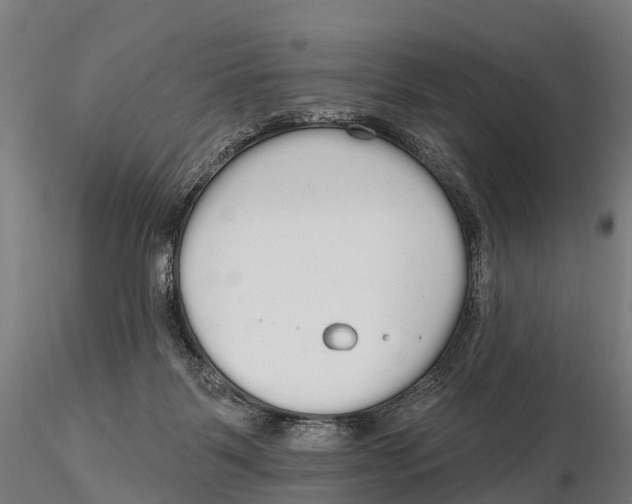 X0000115710123200912031537