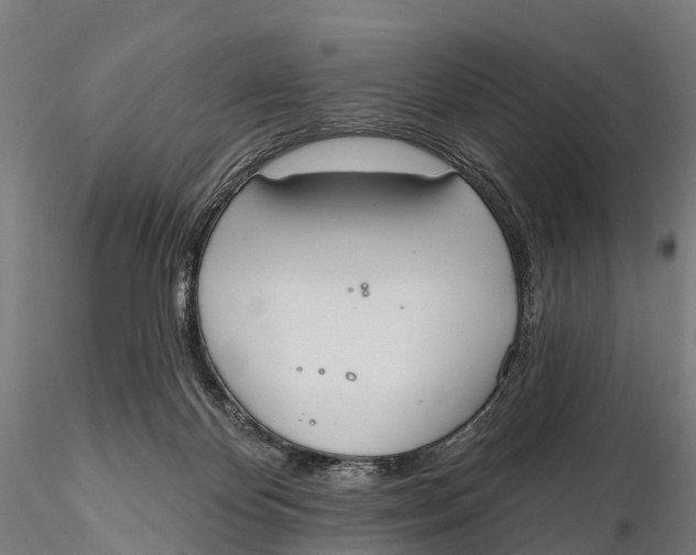 X0000115710124200912031537