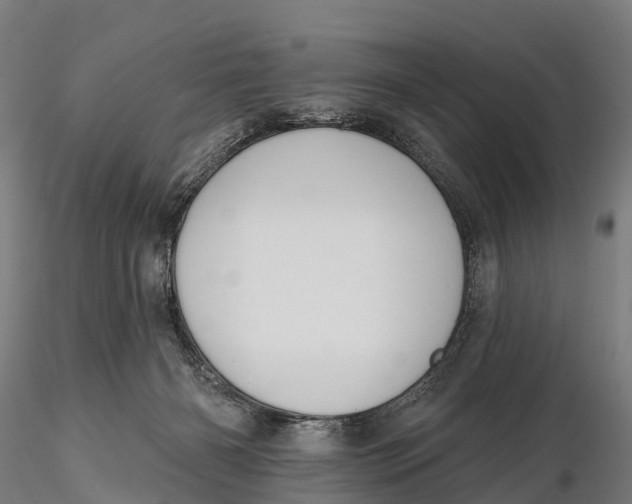 X0000115710126200912031537