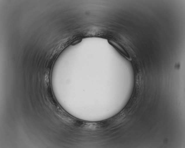 X0000115710127200912031537