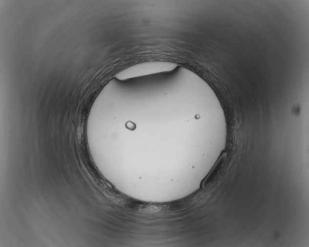 X0000115710129200912031537