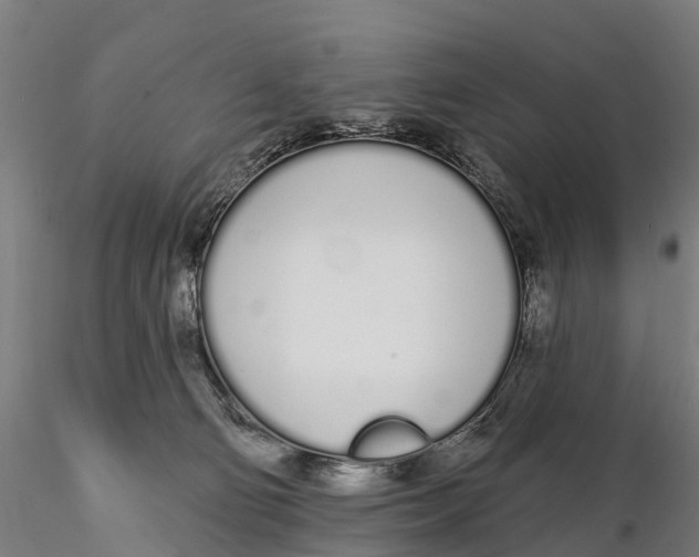 X0000115710130200912031537