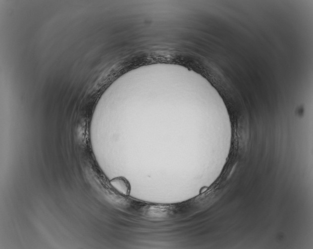 X0000115710134200912031536