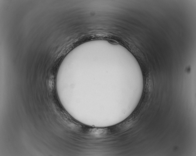 X0000115710135200912031536