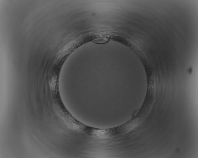 X0000115710139200912031536