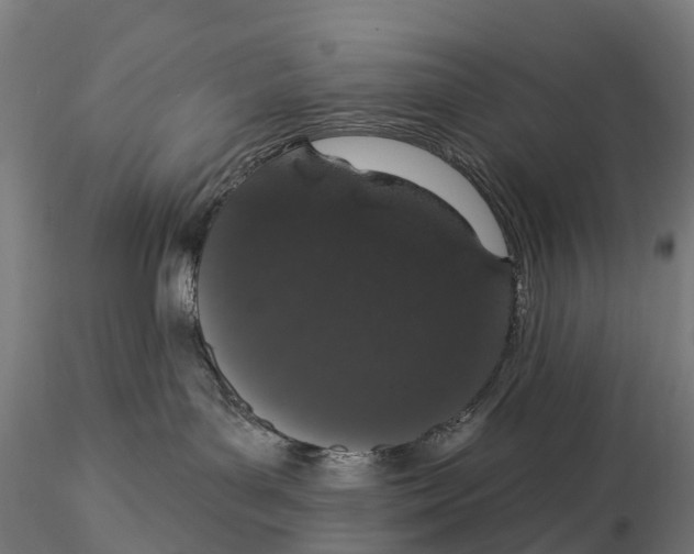 X0000115710143200912031536