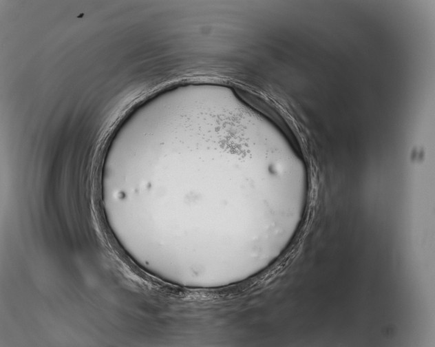 X0000115710145200912031536