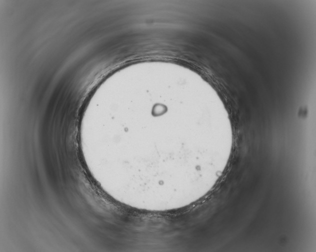 X0000115710146200912031536