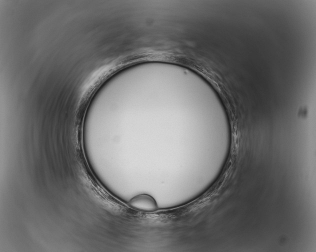 X0000115710149200912031536