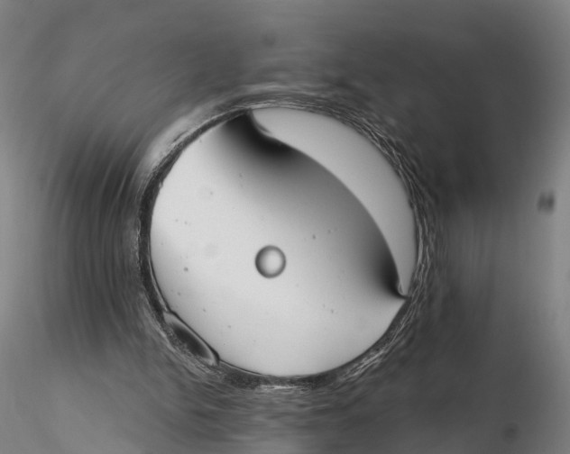 X0000115710150200912031536