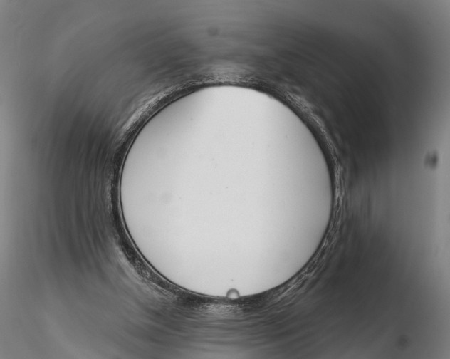 X0000115710154200912031536