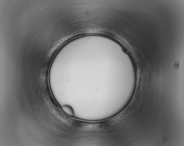 X0000115710155200912031536