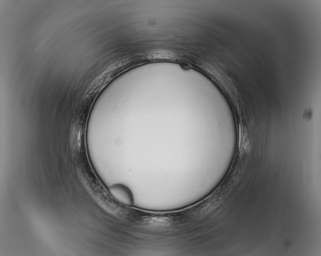 X0000115710157200912031536