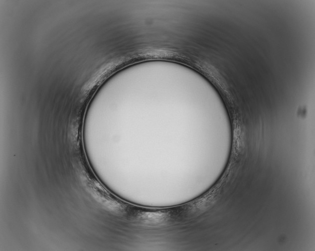 X0000115710159200912031536