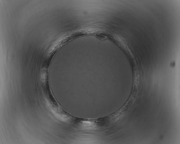 X0000115710167200912031536