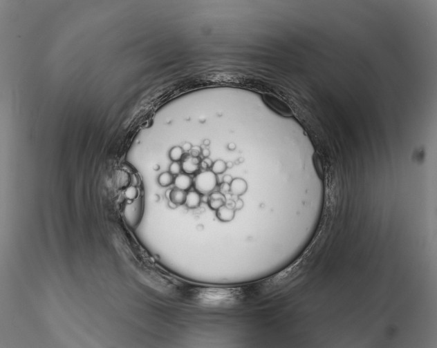 X0000115710175200912031536