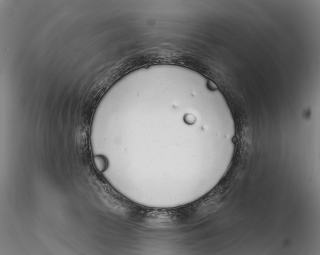 X0000115710177200912031536