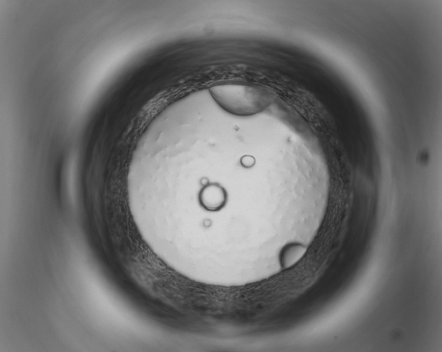 X0000115710189200912031536