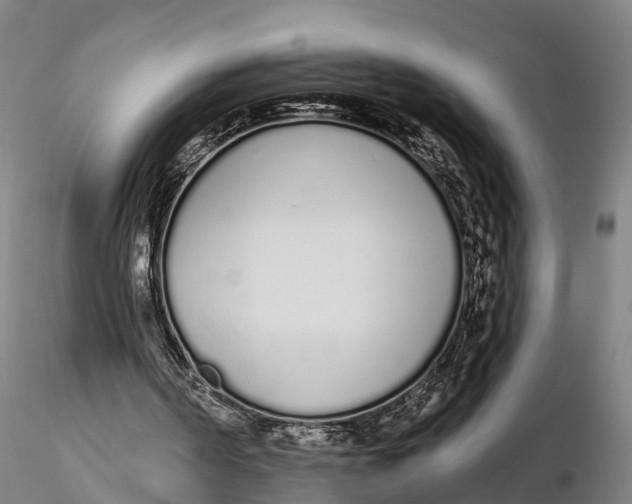 X0000115710194200912031535