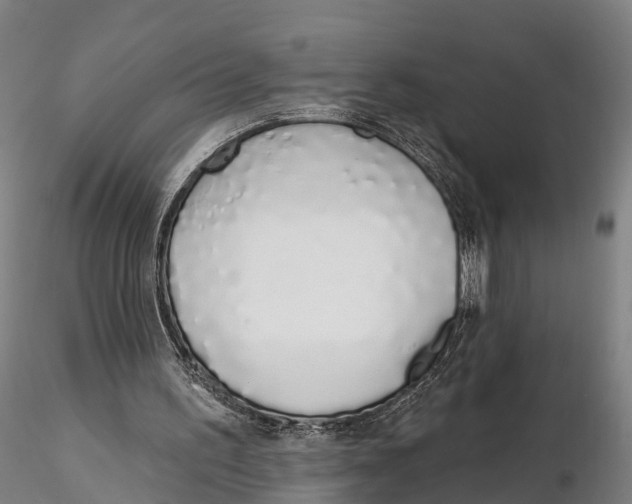 X0000115710195200912031535