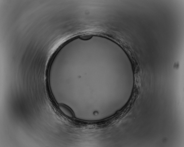 X0000115710196200912031535