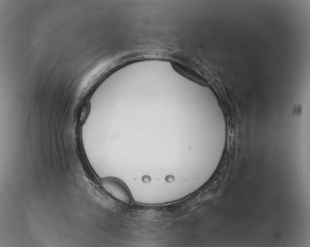 X0000115710197200912031535