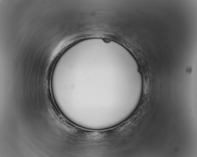 X0000115710198200912031535