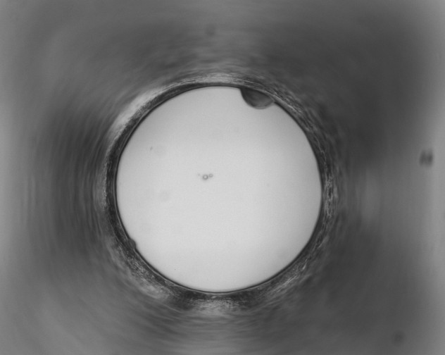 X0000115710200200912031535