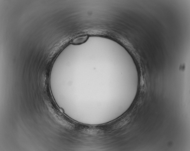 X0000115710201200912031535