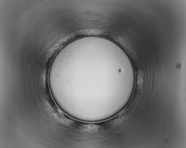 X0000115710206200912031535