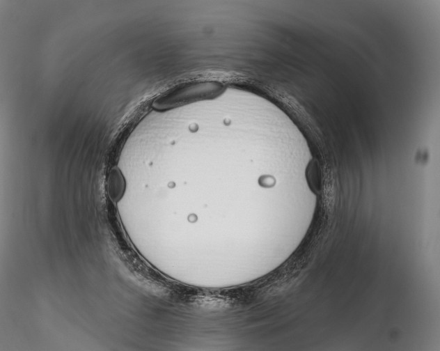 X0000115710207200912031535