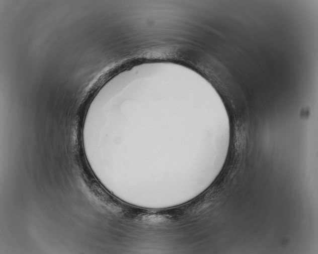 X0000115710208200912031535