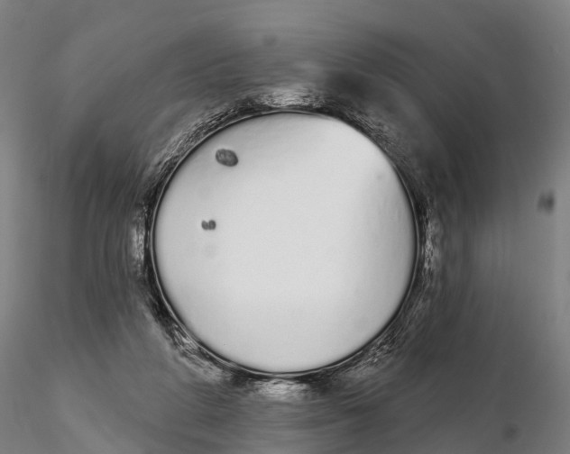 X0000115710210200912031535